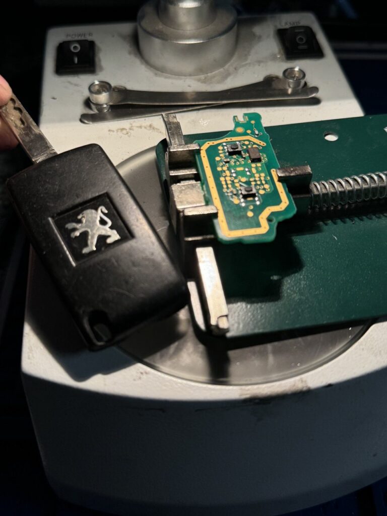 photo_2025-04-11_00-30-45